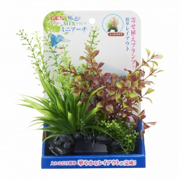 ジェックス 癒し水景MIXレッドロタラ