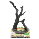 ジェックス 癒し水景ボトルウッド M