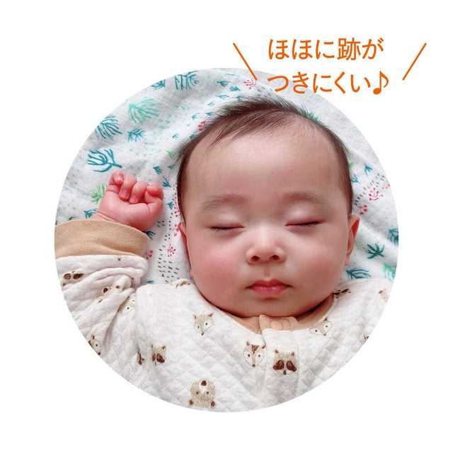 テテオおしゃぶり 入眠ナビ P サイズL