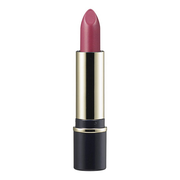 Kanebo media chestnut-my lasting lip A RS-20