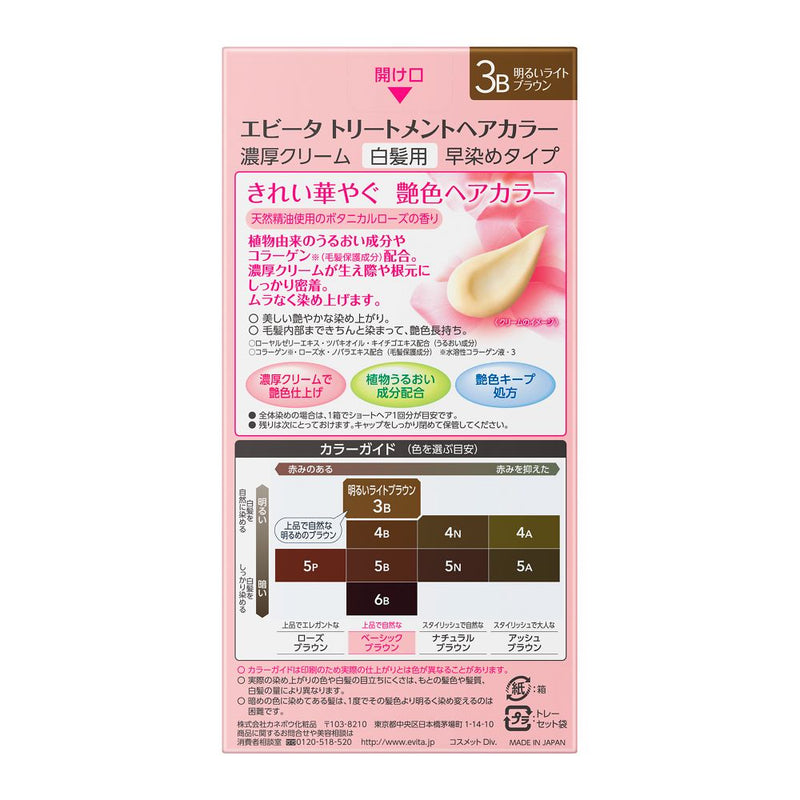 Kanebo Evita treatment hair color 3B