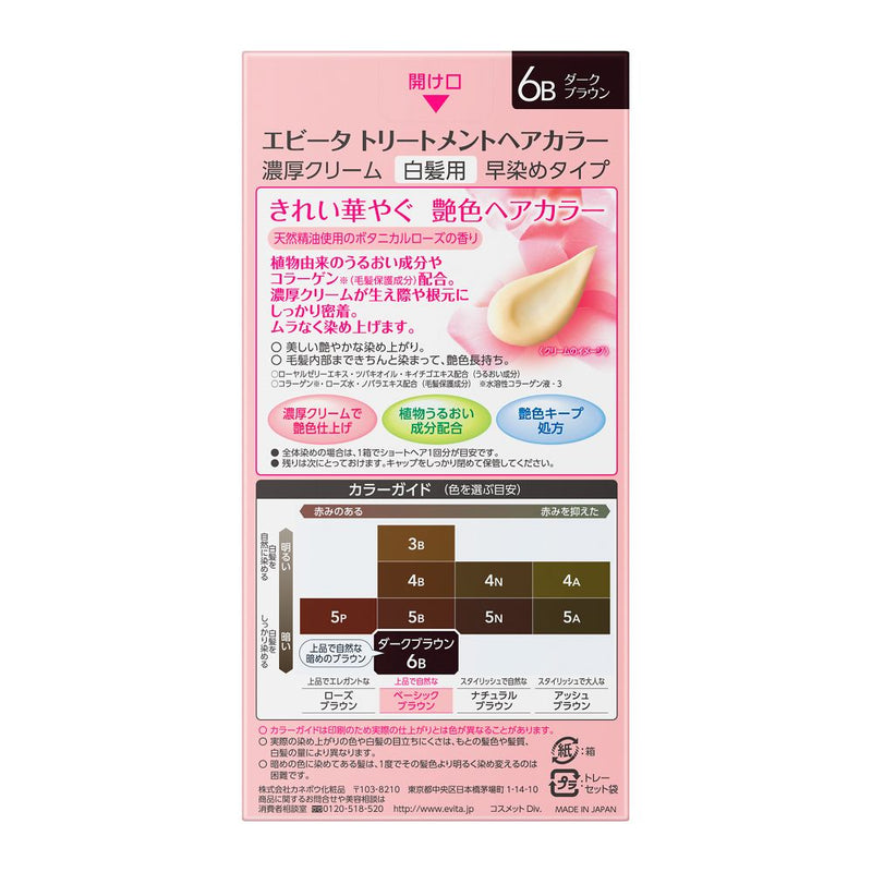 Kanebo Evita treatment hair color 6B