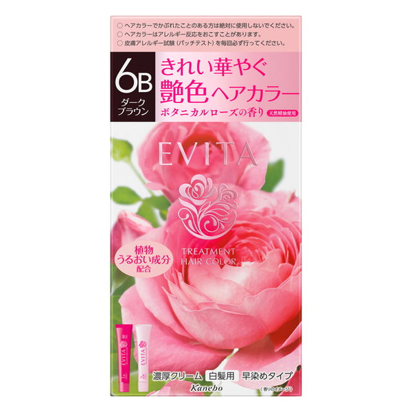 Kanebo Evita treatment hair color 6B