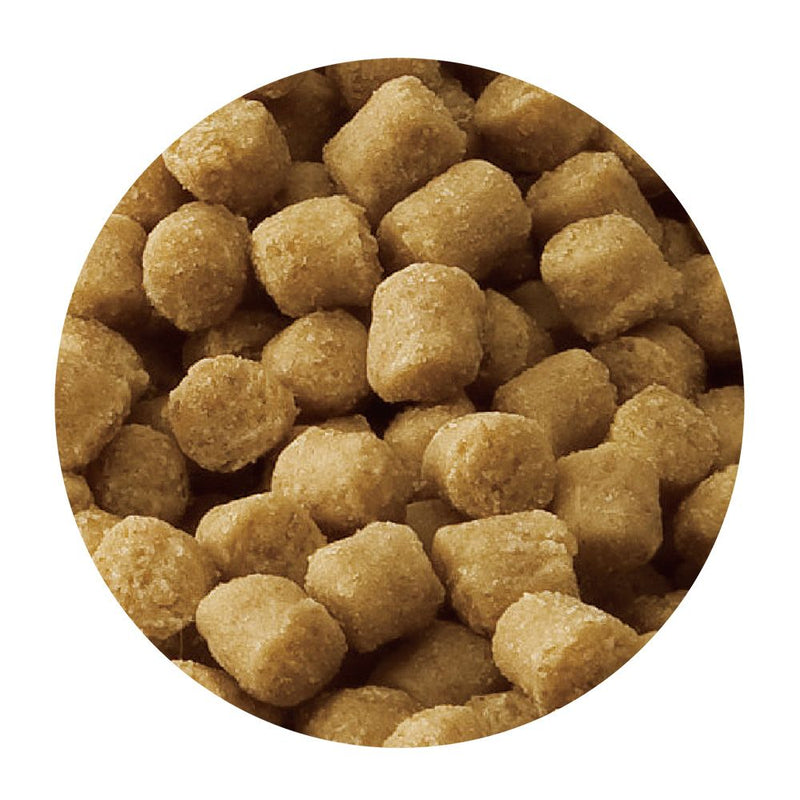 マルカン サンライズ スタイルズ チワワ用 10歳以上用 1.2kg