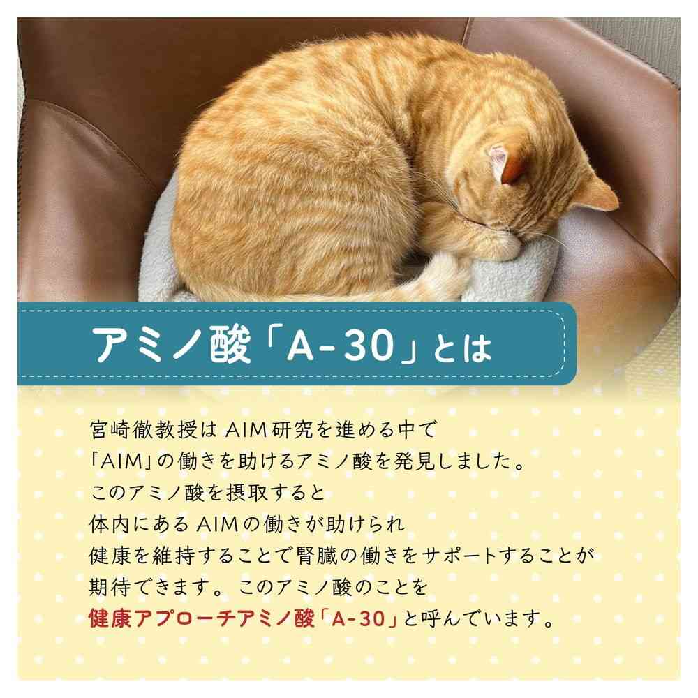 マルカン AIM30 室内避妊・去勢後成猫用 健康な尿路・毛玉ケア
