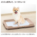 お掃除簡単ステップトレー ワイド ダークブラウン メーカー直送 ▼返品・キャンセル不可【他商品との同時購入不可】