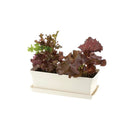 リッチェル ベビーリーフプレート アイボリー