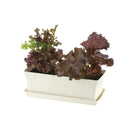 リッチェル ベビーリーフプレート アイボリー