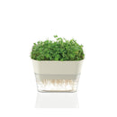 リッチェル スプラウトファーム アイボリー