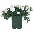 リッチェル バラ鉢 ダークグリーン