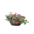 リッチェル ハナール 壁掛け34型 1個