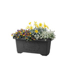 リッチェル ハナール深型プランター６０型 1個