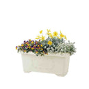 リッチェル ハナール深型プランター６０型 1個