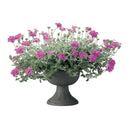 リッチェル ハナールスタンドカップ ダークグレー