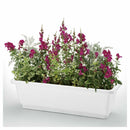 リッチェル ホームプランター65E 1個