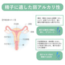 Sagami Gomu Positive Support（调节阴道环境的妊娠凝胶）75ml