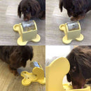 ドギーマン わんこの自飯器 スターターセット 1セット