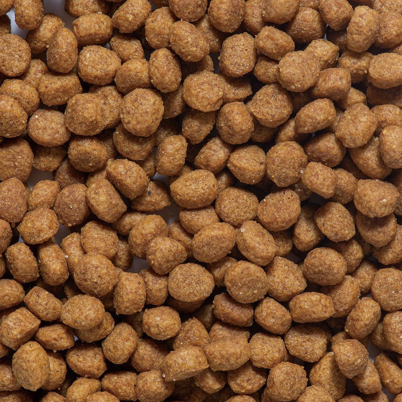 ドギーマンハヤシ まいにちでるでるごはん 皮膚・被毛とお腹の健康ケア 200g