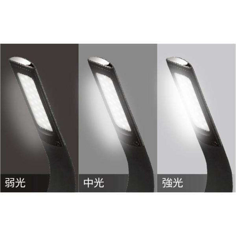 Zepir LED stand light with digital display function (temperature, time, calendar), black DLS-H2008-BK 1 unit