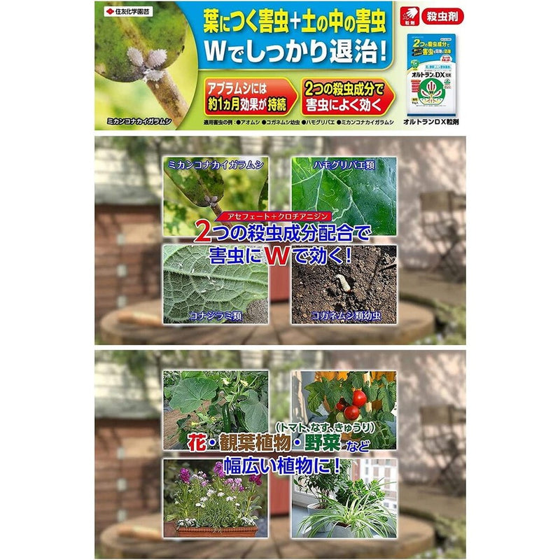 住友化学園芸 オルトランDX粒剤 1KG度