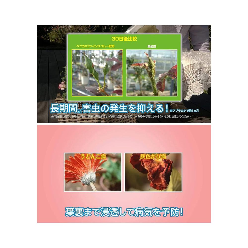 農薬】住友化学園芸 ベニカXファインスプレー 420ml