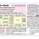 【農薬】住友化学園芸 草退治シャワーワイド 2L
