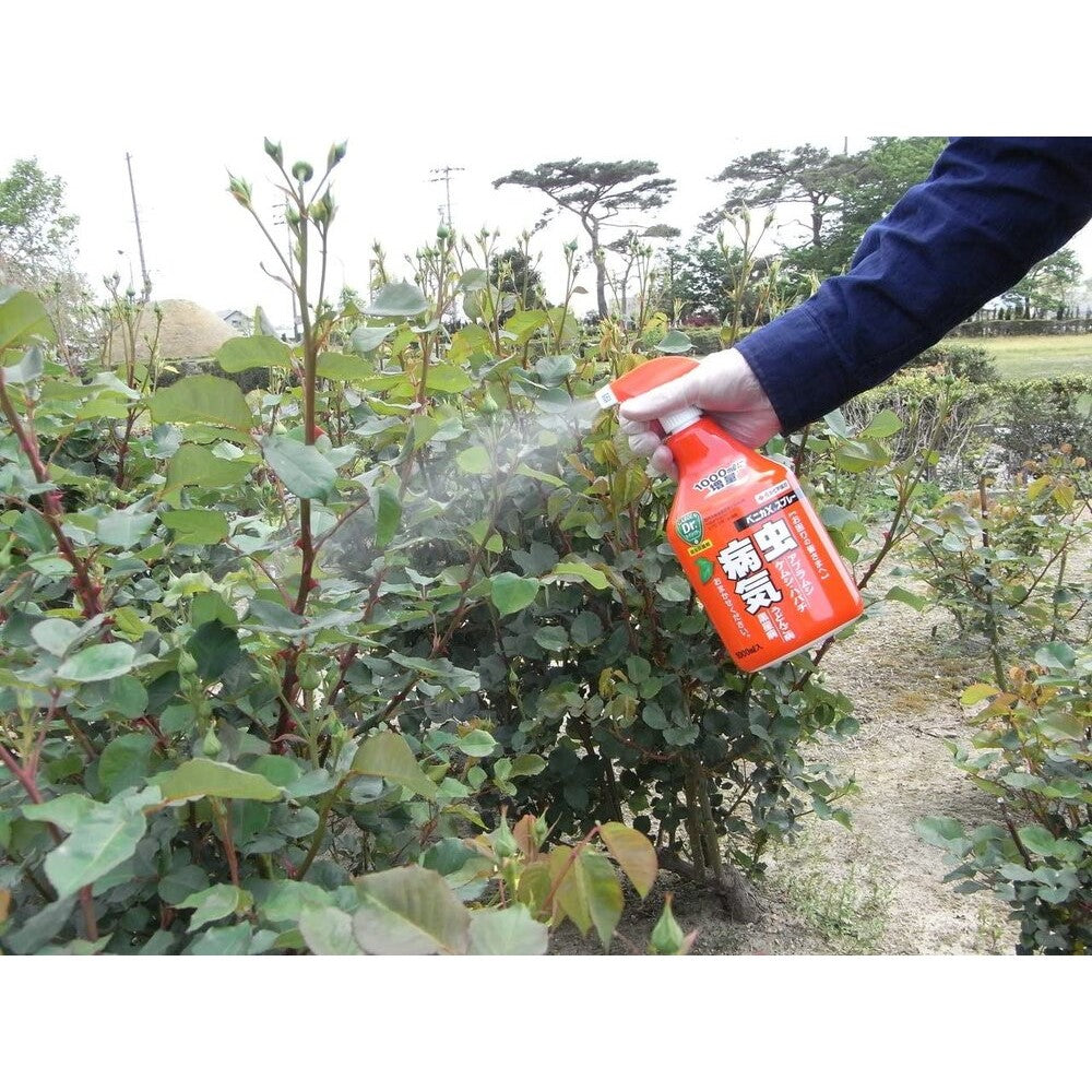 住友化学園芸 ベニカXスプレー 1000ml