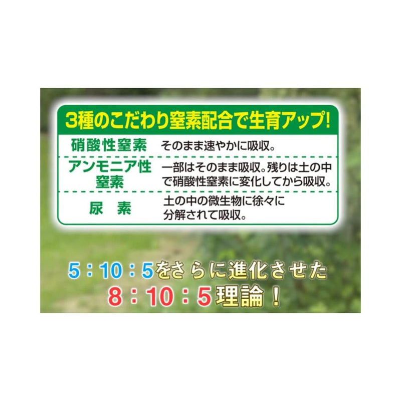 住友化学園芸 花工場 原液 ６００ＭＬ