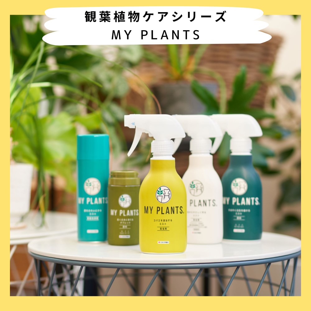 住友化学園芸 MY PLANTS コバエを退治するミスト 250ml 住友化学園芸 MY PLANTS コバエを退治するミスト 250ml