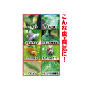 （農）住友化学園芸 ベニカVフレッシュスプレー 1000ml