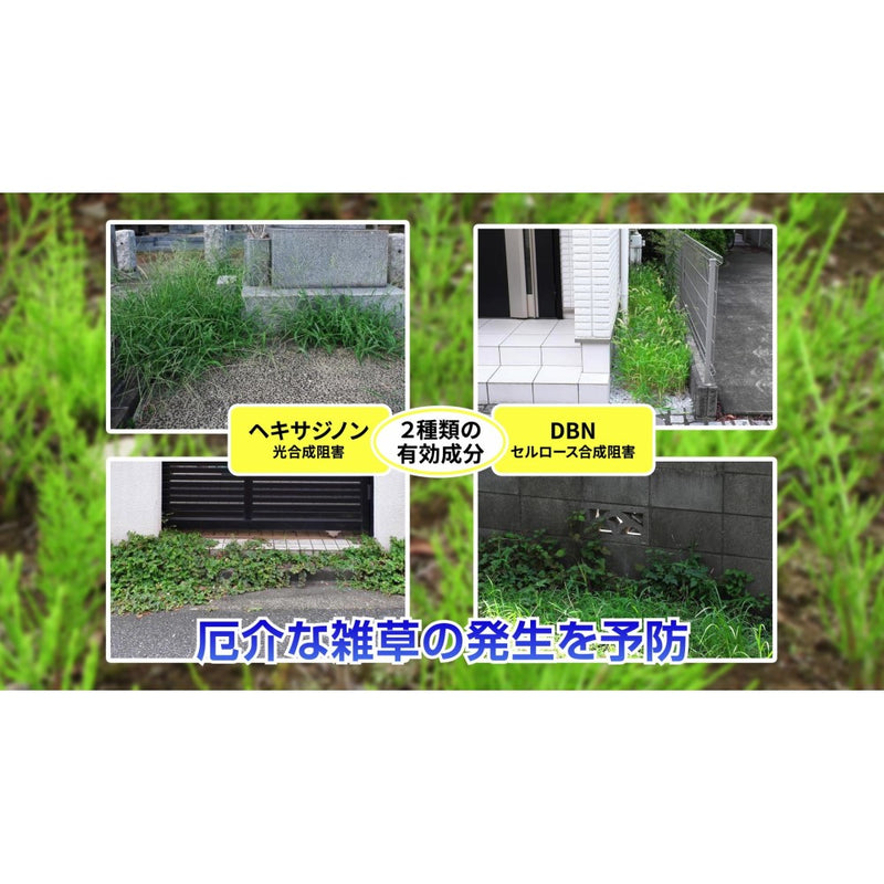 （農）住友化学園芸 草退治E粒剤 800g