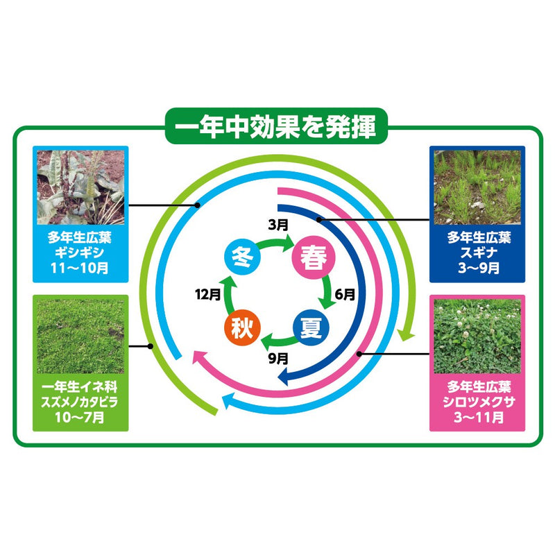 （農）住友化学園芸 草退治E粒剤 3Kg