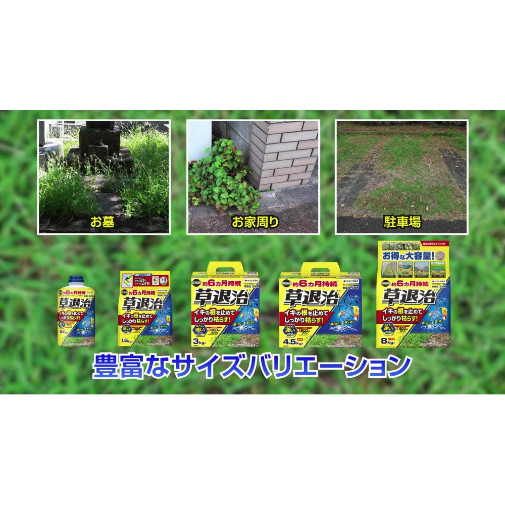 農）住友化学園芸 草退治E粒剤 3Kg