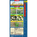 （農）住友化学園芸 草退治E粒剤 4.5kg