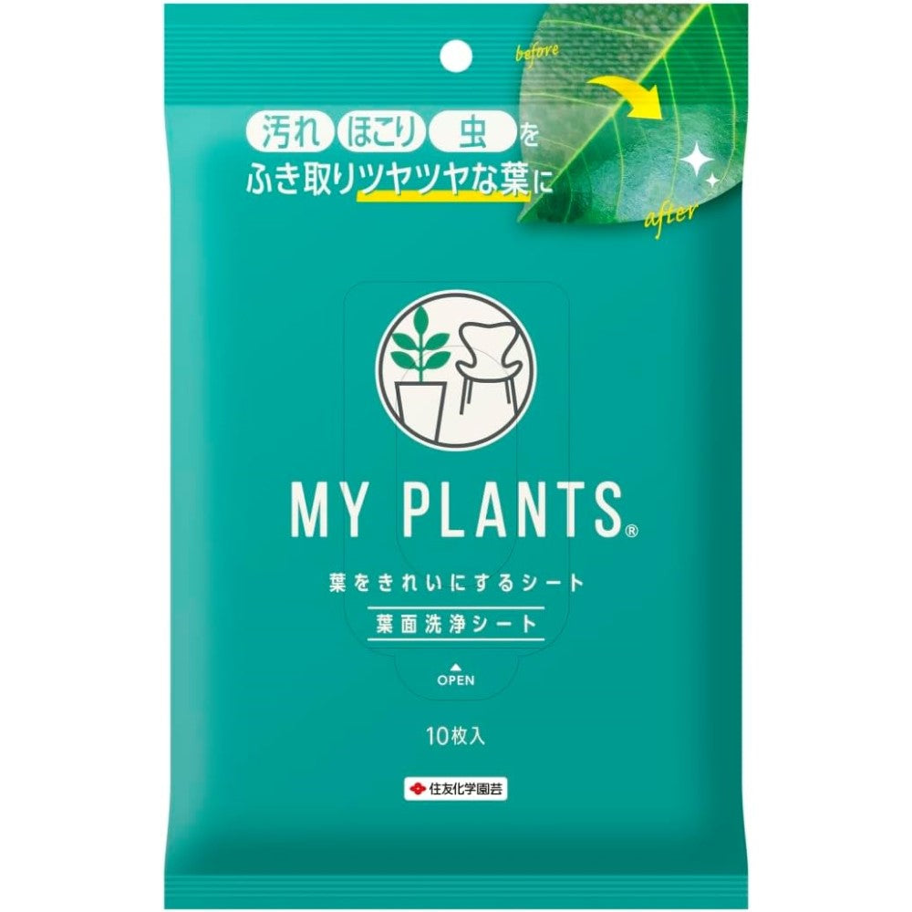 一枚の葉 4975292604747_1000x.jpg?v=