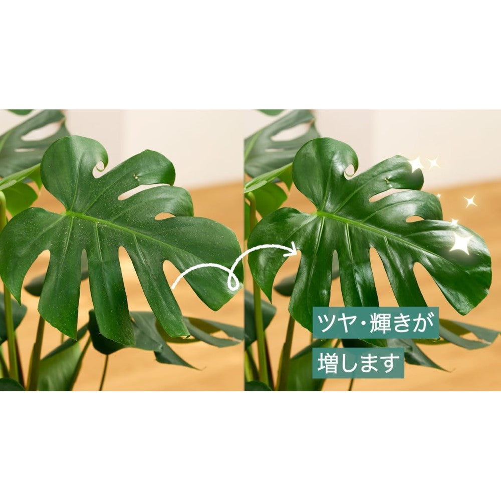 住友化学園芸 マイプランツ 葉をきれいにするシート 10マイ