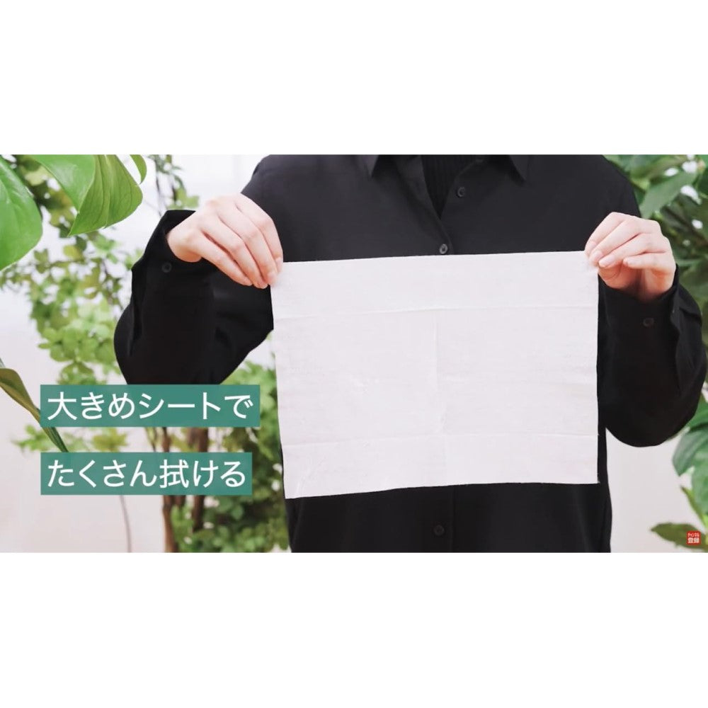 住友化学園芸 マイプランツ 葉をきれいにするシート 10マイ