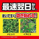 【農薬】キンチョー 草退治 ストロング シャワー 2L