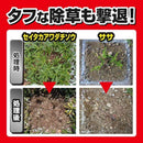 【農薬】キンチョー 草退治 ストロング シャワー 4.2L