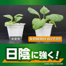 キンチョー X－ENERGY ロング 粒タイプ 700g