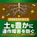 キンチョー X－ENERGY ロング 粒タイプ 700g