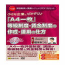 V124/DVD A4一枚 等級・賃金制度の作成・運用の仕方 メーカー直送 ▼返品・キャンセル不可【他商品との同時購入不可】