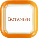 晴香堂 ボタニッシュエア2個パック キンモクセイ 3613 2.4g×2個