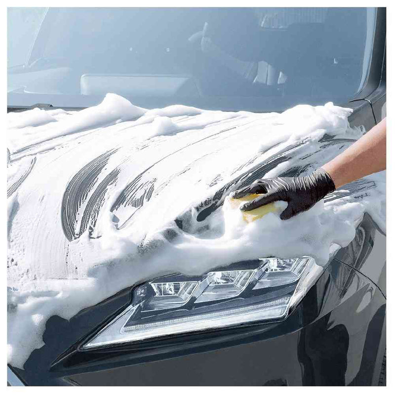 晴香堂 ジオセラミック シャンプー 750ml（中型車約25台分）