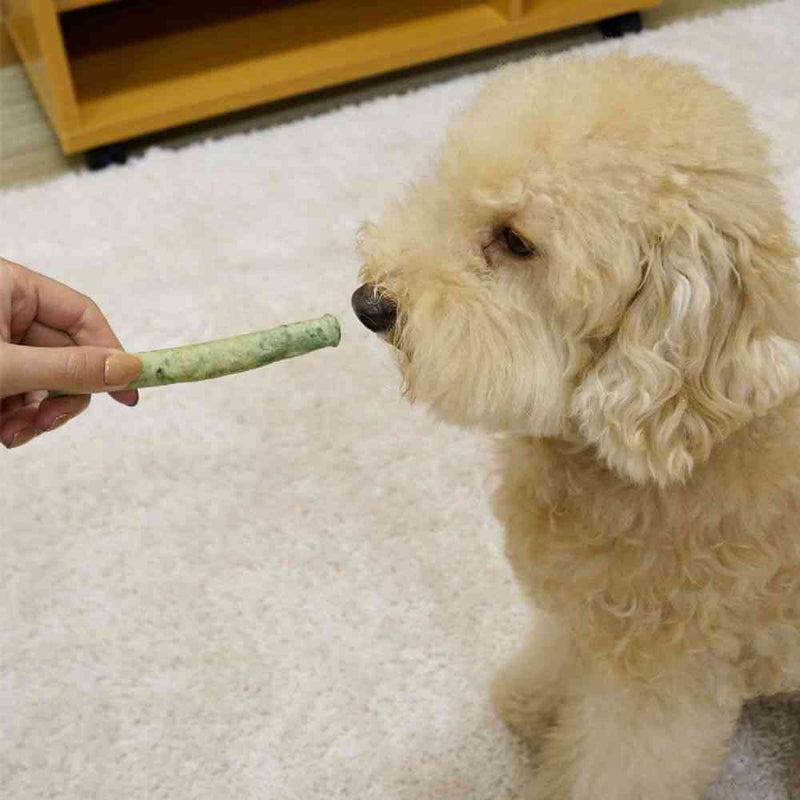 ドギーマン 激かみ！歯みがきガムグリーン スティック L 10本