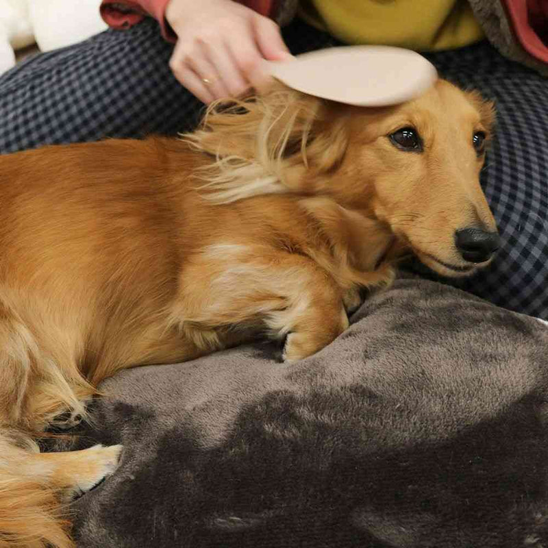 ドギーマン なでわんしゃもじ 1個