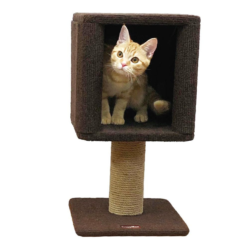 モダンルーム コンパクトにゃボックス メーカー直送▼返品・キャンセル不可【他商品との同時購入不可】