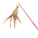 じゃれ猫 宙返り