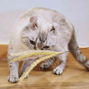 ドギーマン じゃれ猫 猫のお遊び ススキ草 1本