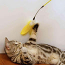 ドギーマン じゃれ猫 ゴージャス ワイド 1個○色の選択不可